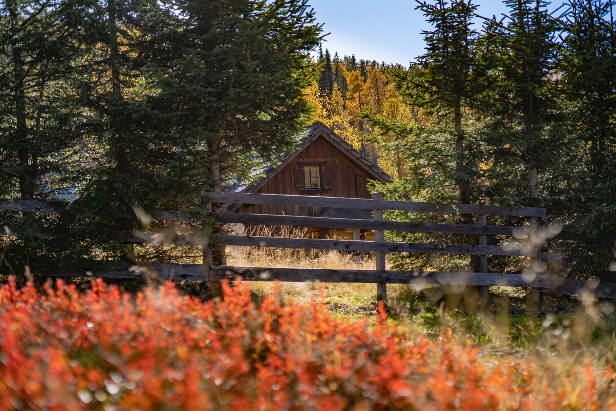 Herbsturlaub auf der Hütte